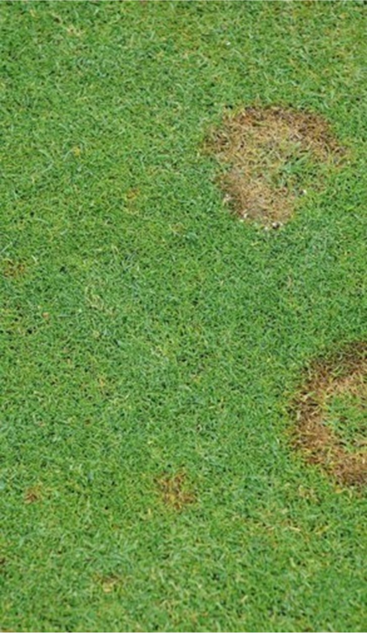 Course Update December at Skerries Golf Club