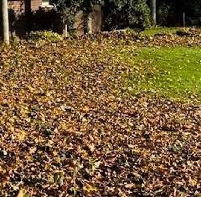 Course Update December at Skerries Golf Club