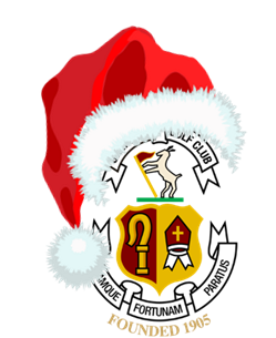 Skerries Golf Club Log with Christmas Hat